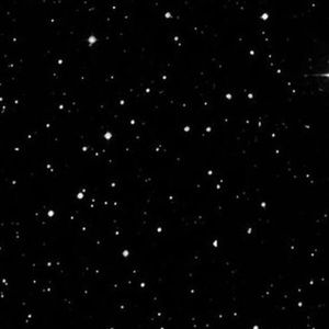 Meet your Posher, Ryanne